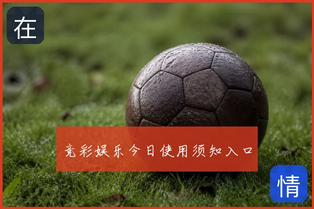 竞彩娱乐今日使用须知入口
